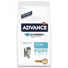 GATO, ADVANCE GATINHO