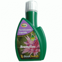 BOSKFLORIDO BROMELIAS