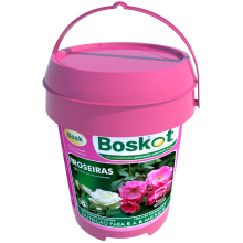 BOSKOT ROSEIRAS