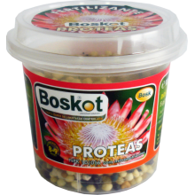 BOSKOT PROTEAS