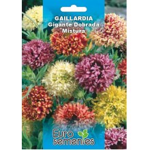 EUROSEMENTES FLORES GAILLARDIA