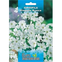 EUROSEMENTES FLORES GIPSOFILA