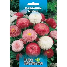 EUROSEMENTES FLORES MARGARIDA