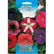 EUROSEMENTES FLORES PETUNIA 