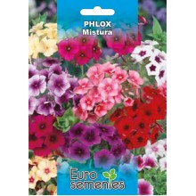 EUROSEMENTES FLORES PHLOX