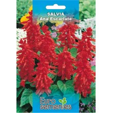 EUROSEMENTES FLORES SALVIA