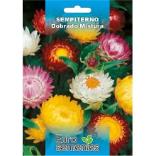 EUROSEMENTES FLORES SEMPITERNO