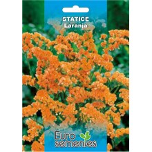 EUROSEMENTES FLORES STATICE
