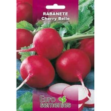 EUROSEMENTES HORTÍCOLAS RABANETE