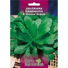 EUROSEMENTES HORTÍCOLAS VALERIANA