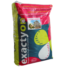 EXACTYON AG CASTANHEIROS