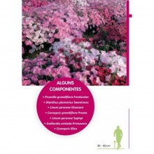 TOPGREEN SEMENTE DE MISTURA FLORES FORMULA CHRONO VIVAZ