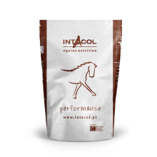 INTACOL DESEMPENHO LUSOMIX