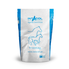 INTACOL REPRODUÇÃO YOUNG